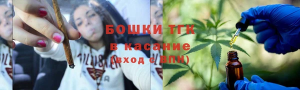 ешки Ельня
