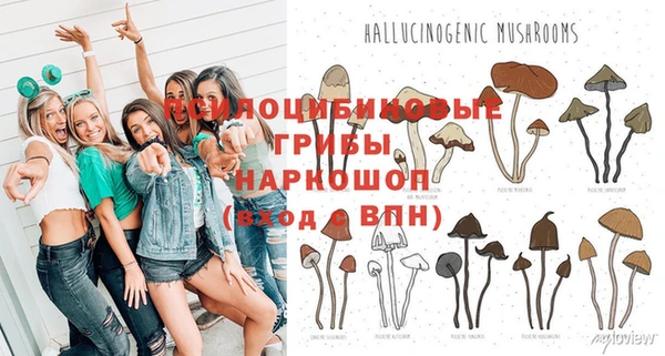 амф Архангельск