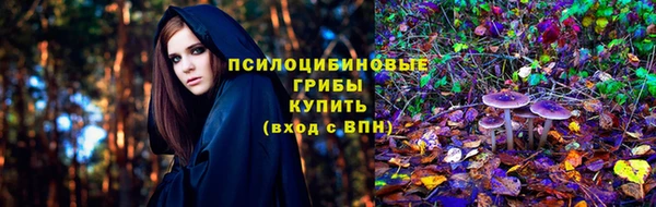 тгк Пенза