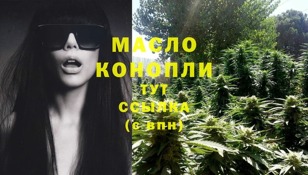 гидра Елабуга