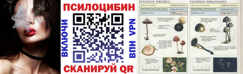 Псилоцибиновые грибы прущие грибы  наркотики  Железногорск-Илимский 